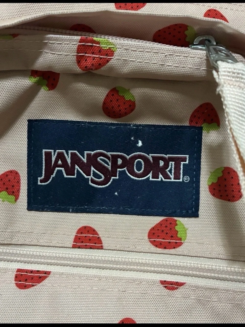 Jansport big student